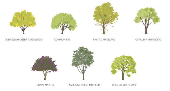 spaces garden beauty trees diagram