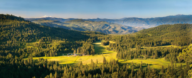 The lush landscape of Willow-Witt Ranch