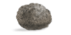 Fresh Truffle