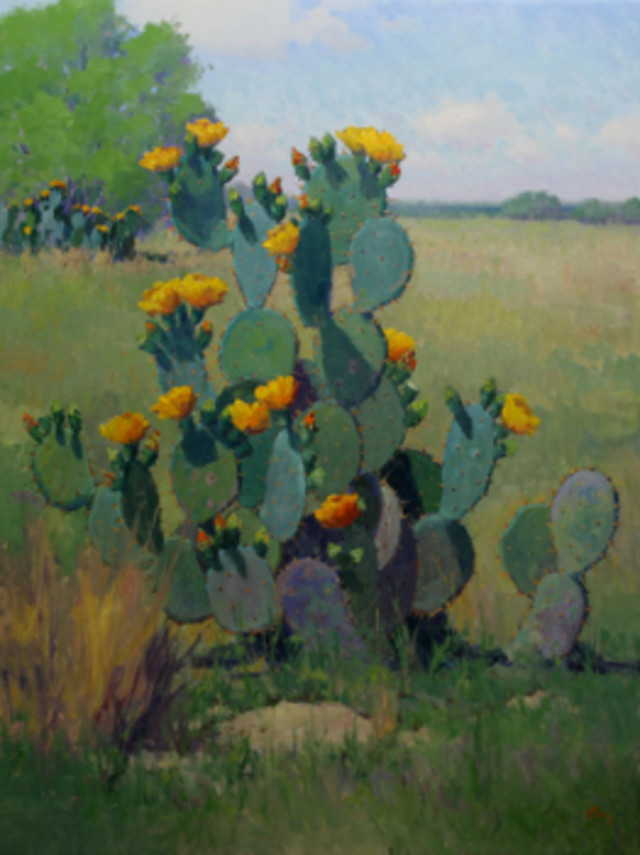 Texas Art Aesthetics Houstonia Texas Art Aesthetics