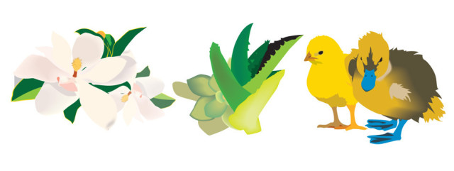 Plantwise