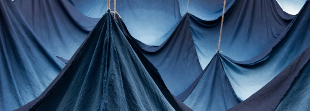 008 r ricketts fieldsofindigo 1000x360 rh6xye