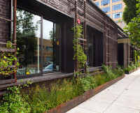AIA hq arch and design month