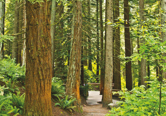 0116 hoyt arboretum rdmof0