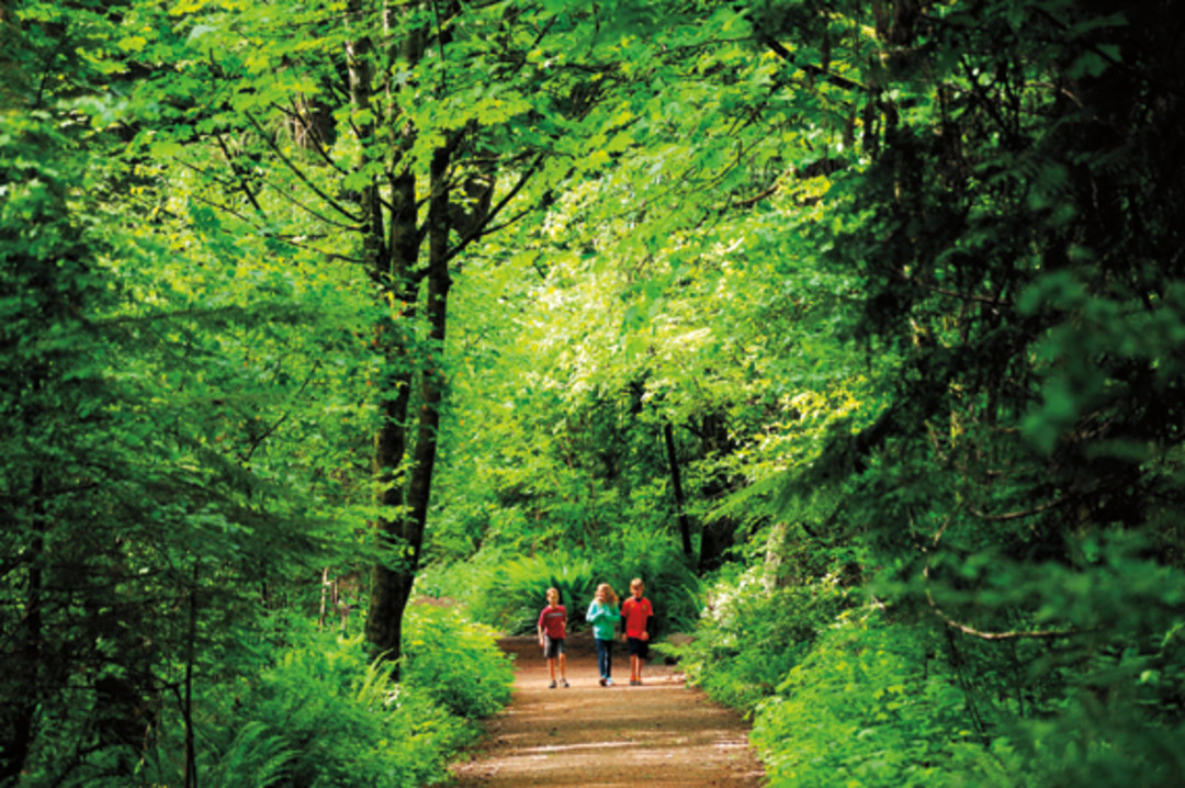 best parks seattle s best city parks seattle met best parks seattle s best city parks seattle met