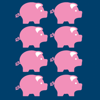 piglets