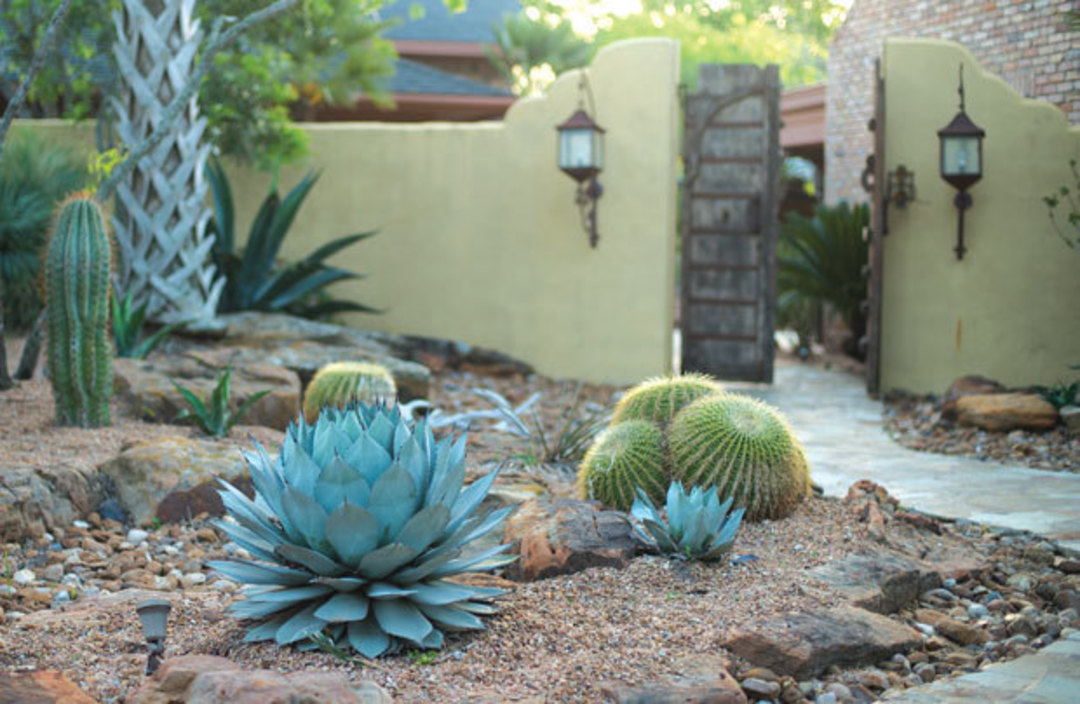 Cactus & Succulent Terrarium, Space Gardening