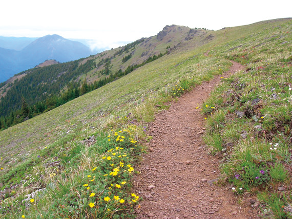 0712 mudroom trail mt townsend