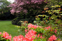 parsons garden seattle