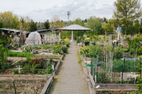 bradner gardens park