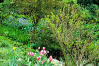 streissguth gardens