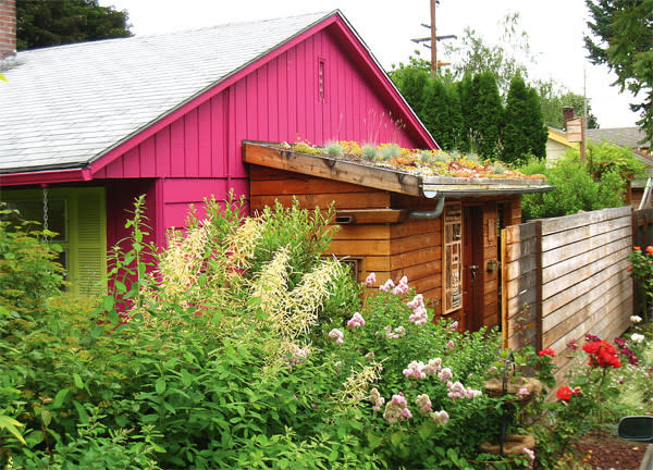 green roof
