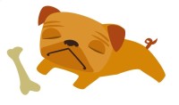 pug sleeping