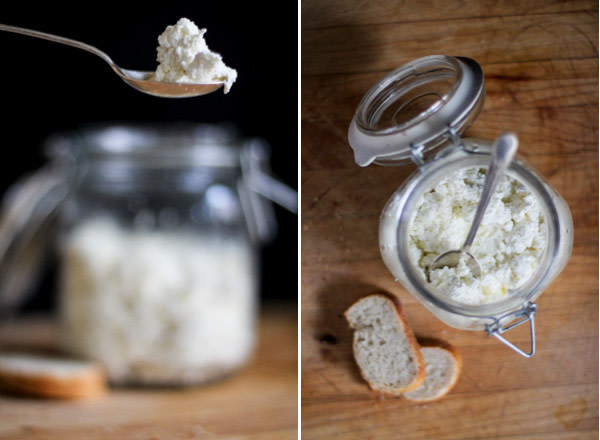 Ricotta Cheese Recipe