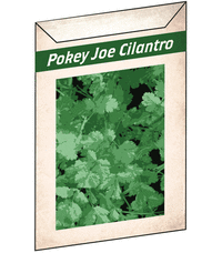 Pokey Joe Cilantro