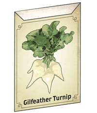 Gilfeather Turnip seeds