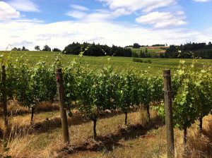 Oregon Wine Country