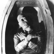 Thumbnail for - Mummies of the World
