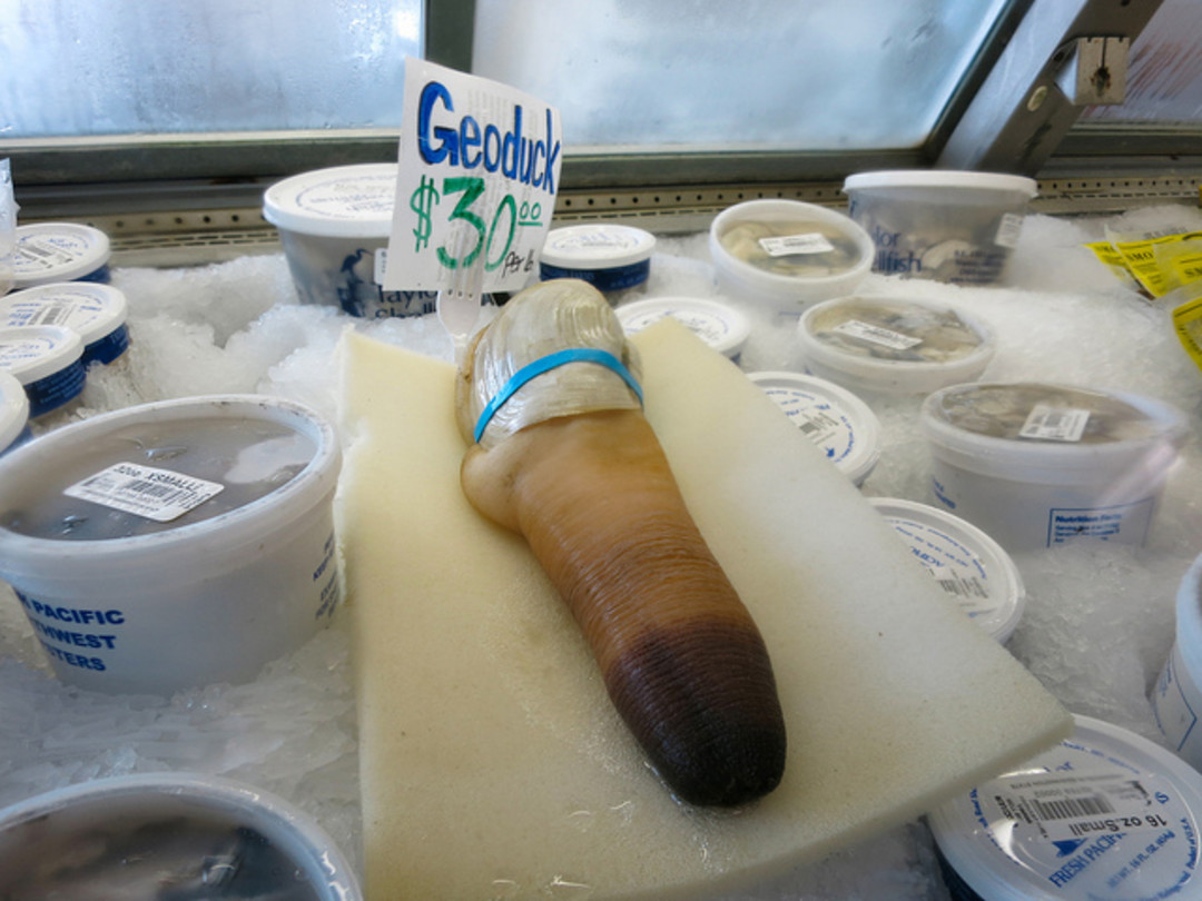 I Finally Ate Geoduck—and You Can Too! | Houstonia