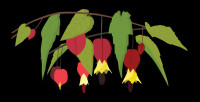 0810_32_dig_plant