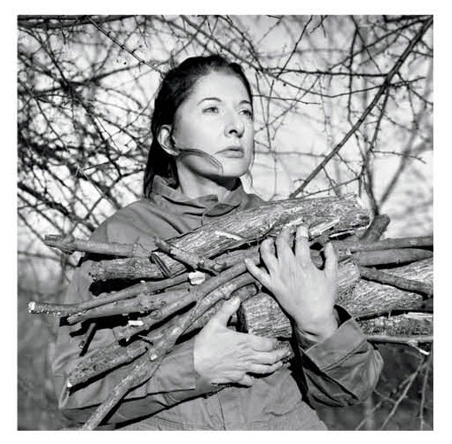 0513 catch this marina abramovic vaomn4