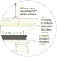 spaces edible starts diagram1