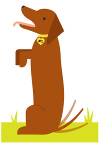 dog-obedience