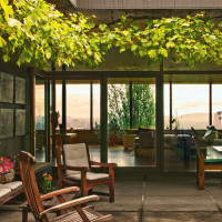 Belluschi house courtyard view to living