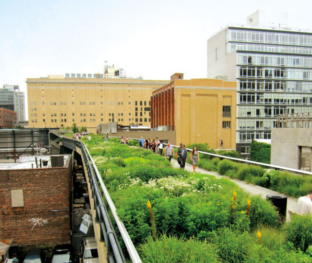 The History of High Line - Gardening