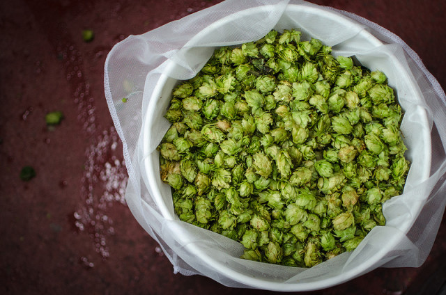 Fresh hop beers