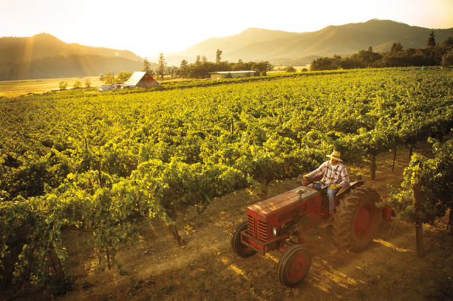 Valley View Winery