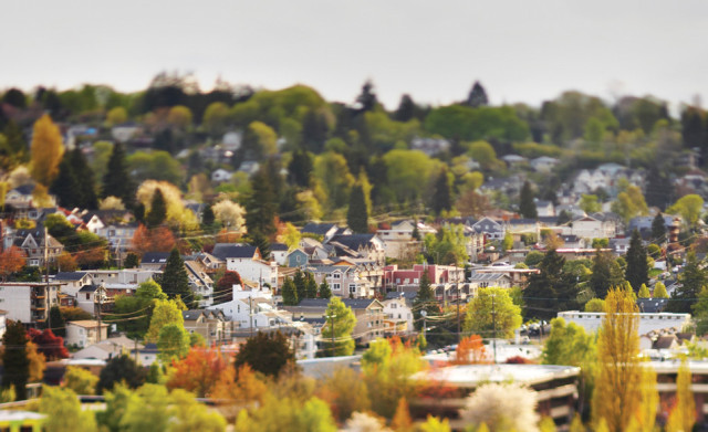 Seattle's Best Neighborhood-3
