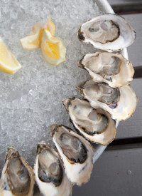 oysters walrus carpenter