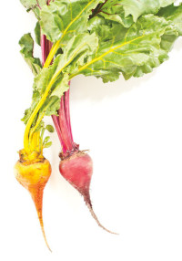 farmers market-beets