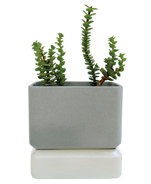 1115 sill planters dldtbk