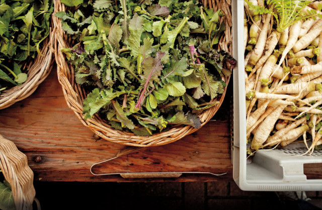 Famers Market Salad