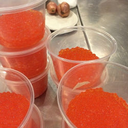 Paley's hand-cured steelhead caviar
