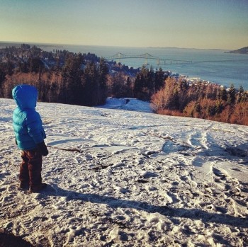 Peering down on the Astoria–Megler Bridge from the Astoria Column park.