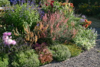 beefriendlygarden