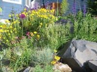 Matthew Shepherd's garden