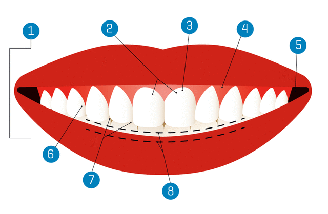 smile diagram graphic