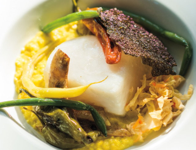 Salare halibut bestrest 3113 vfdbzc h3njrv