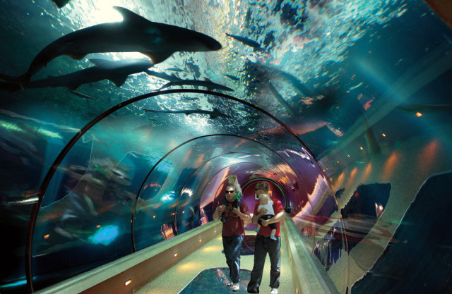 Oregon Coast Aquarium