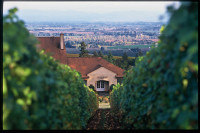 wine house
