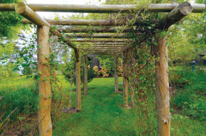 0808-habitat-arbor