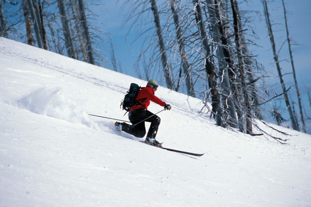 warrior ski