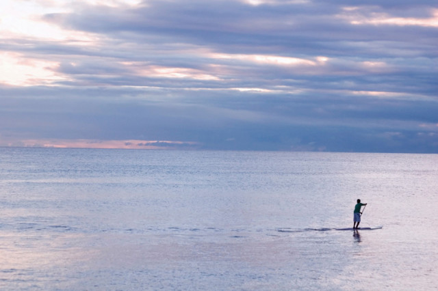paradise foound-paddle