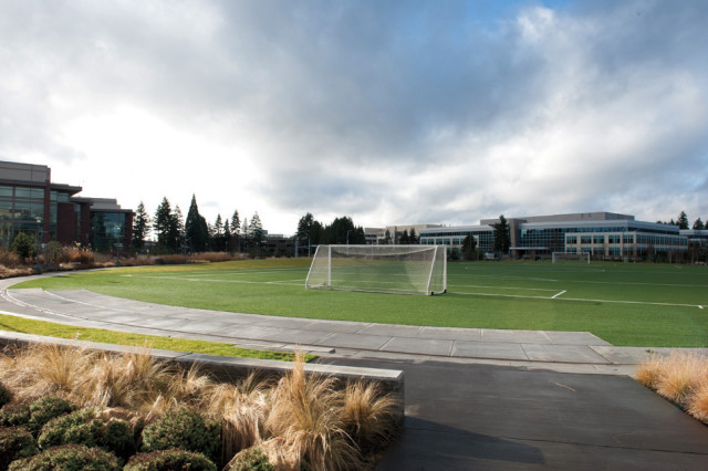 Microsoft Soccer Field