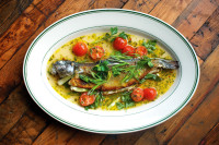 crazy water trout