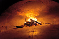 Wood fired oven